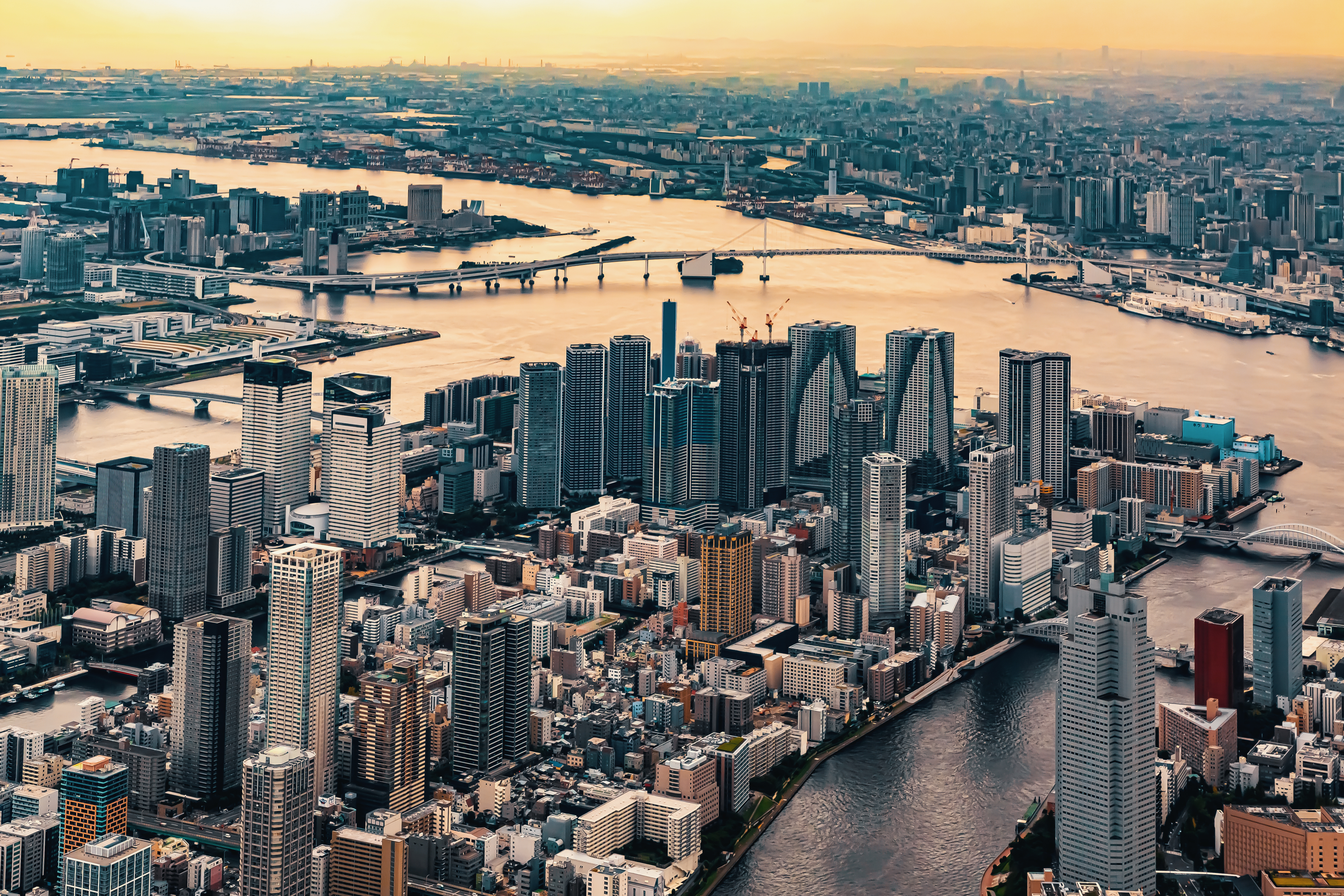 Tokyo’s Top 10 New Spots for Spring 2024: Unmissable Experiences!