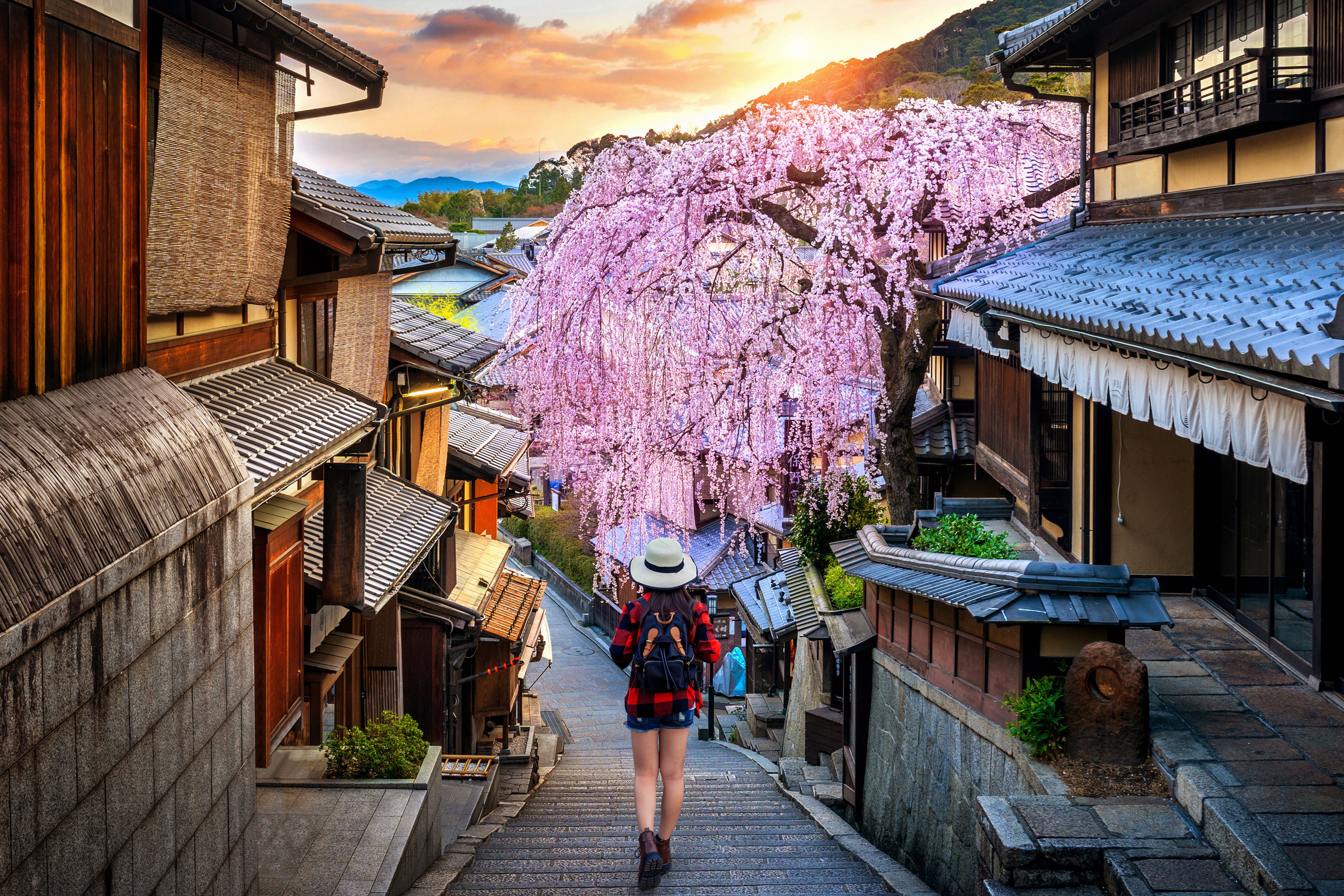 10 Essential Insights for the Nervous First-Time Traveler to Japan