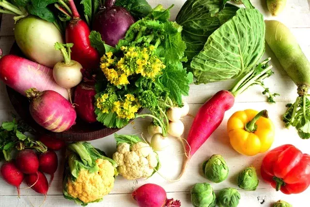 Spring Culinary Delights in Japan: From Butterbur to Cherries