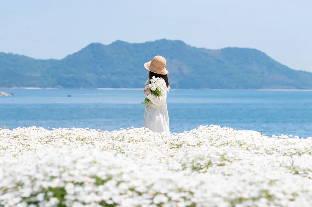The White Blossoms of Flower Park Urashima: Japan’s Spring Beauty