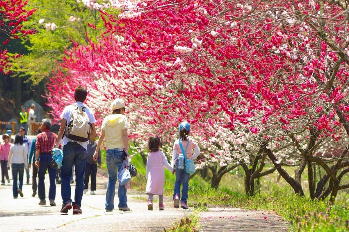 Navigating Japan in May: Weather, Holidays, and Budget-Friendly Tips