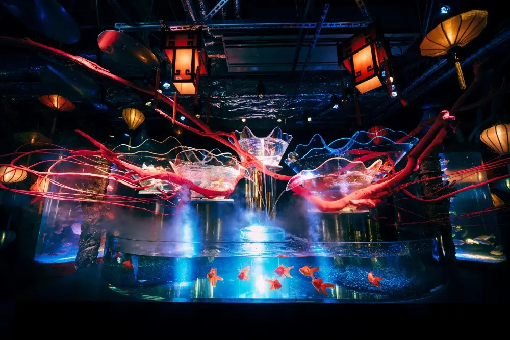 Experience Tradition and Marine Beauty at Tokyo’s UWS AQUARIUM GA☆KYO