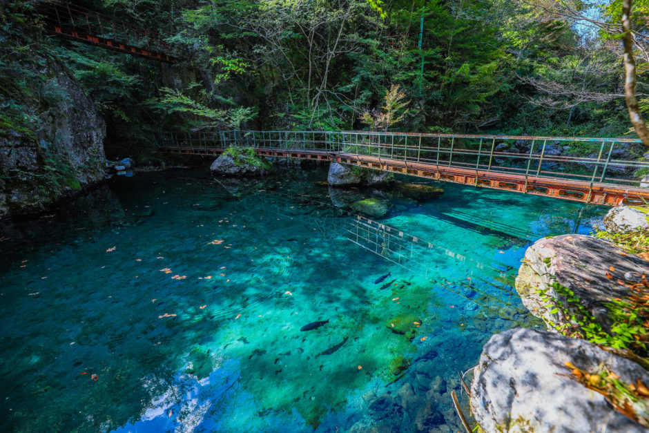 Discovering Hakuryuko: A Secret Slice of Heaven in Kochi