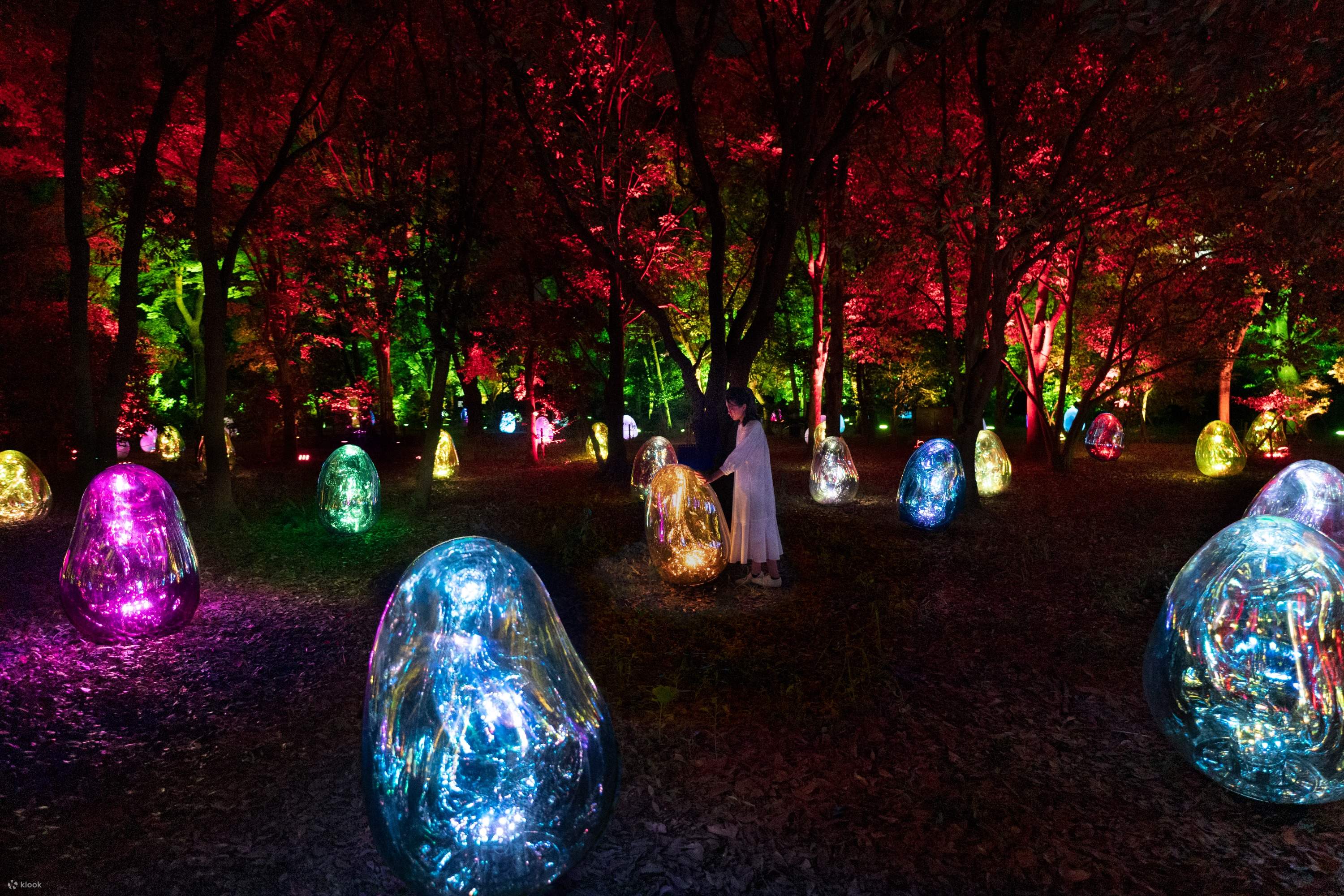 teamLab Botanical Garden Osaka: A Digital Night in Nature