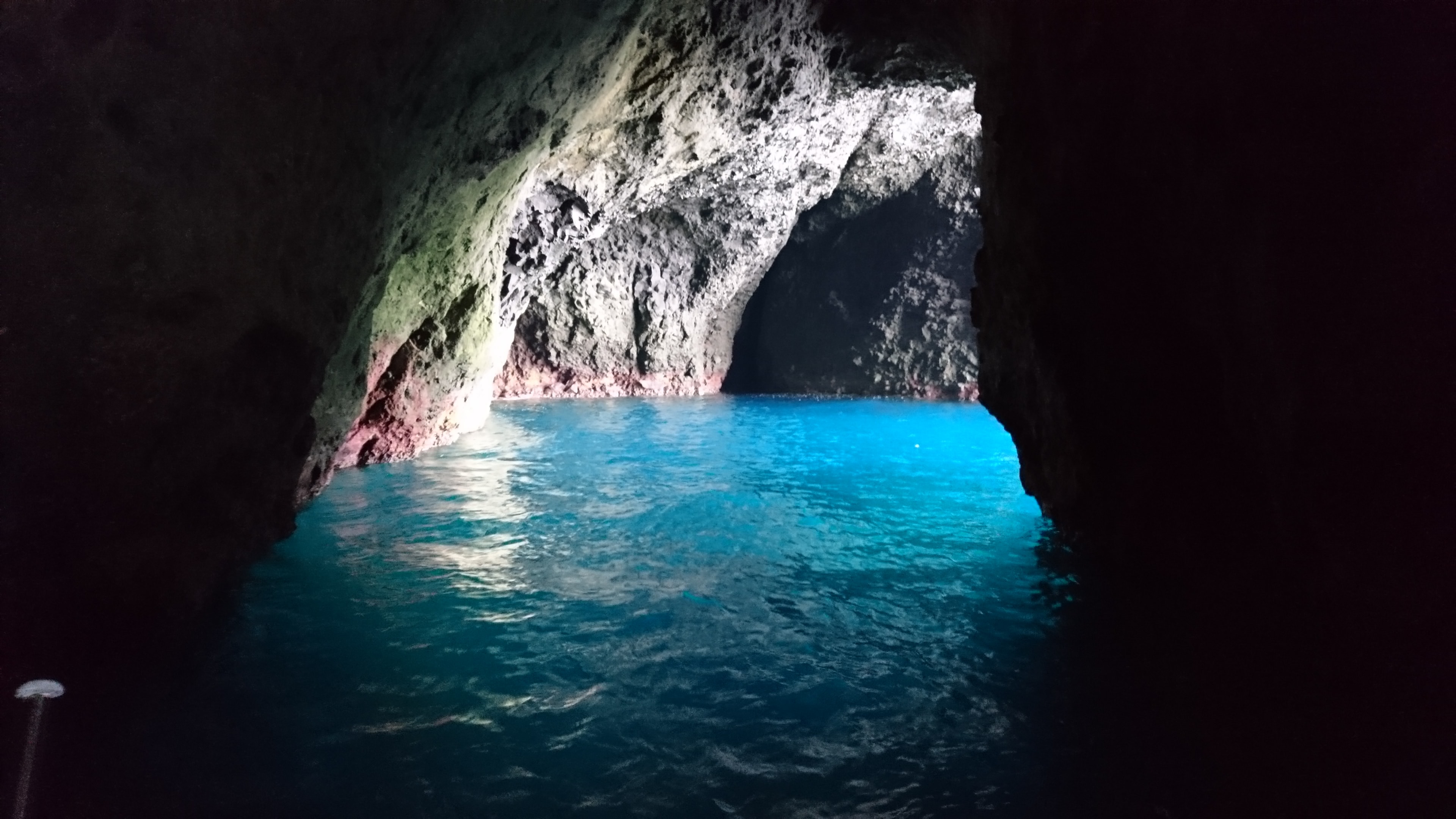 Seagulls and Azure Hues: Unveiling Otaru’s Hidden Gem