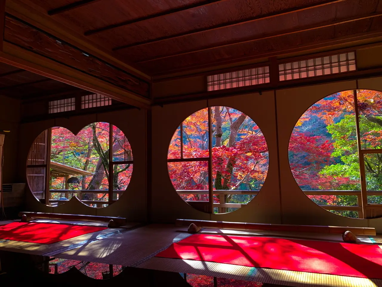 Frame Your Kyoto Experience: Breathtaking Views at Yusai-tei