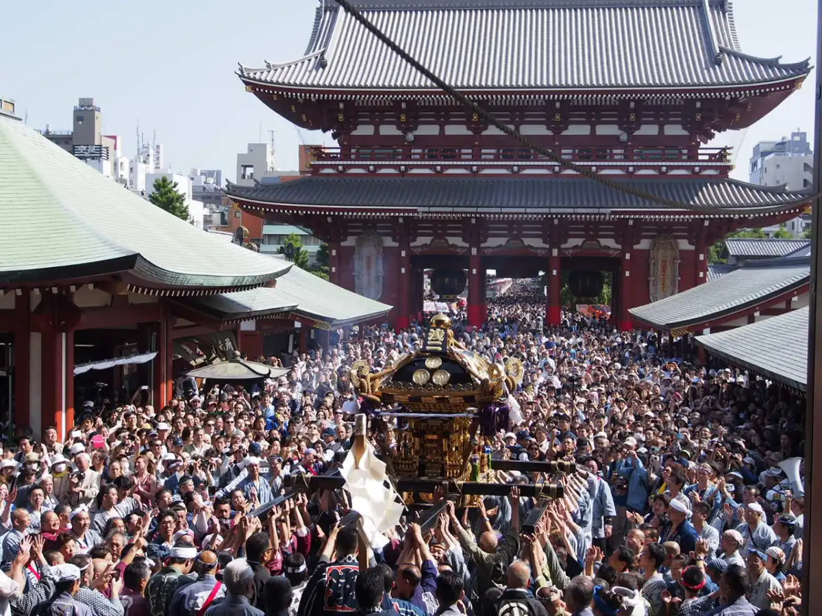 Experience the Thrill of Sanja Matsuri – Tokyo’s Cultural Spectacle