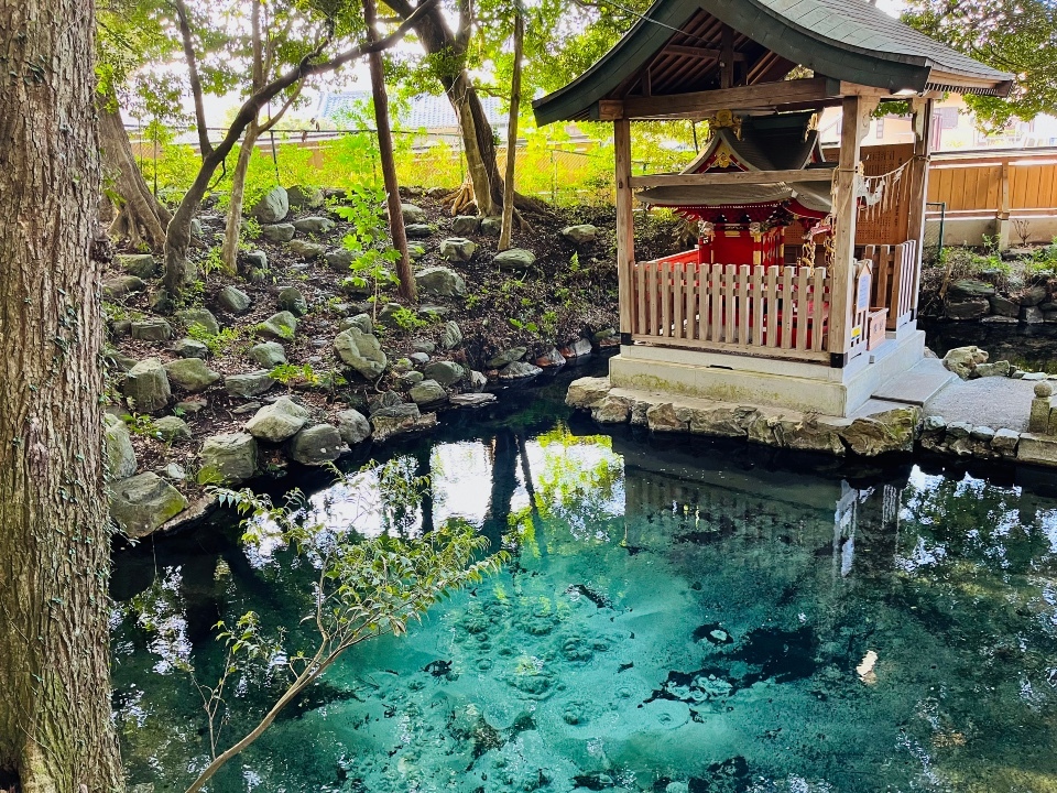 A Peaceful Pilgrimage to Izumi Shrine’s Enchanting Pond