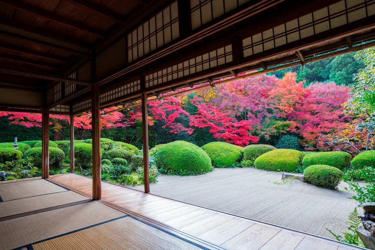 A Journey to Zen: Kyoto’s Shisendo Temple Guide