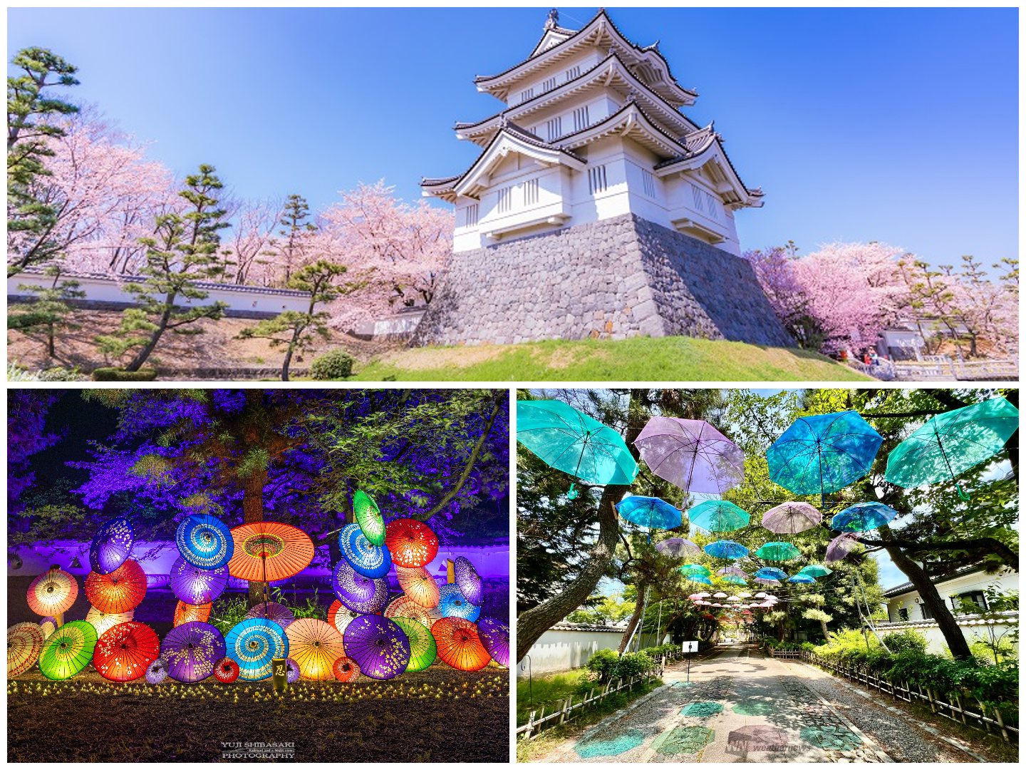 Illuminating History: Monthly Umbrella Lights at Oshi Castle Near Tokyo