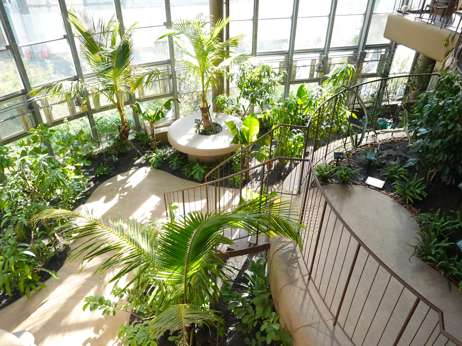 Shibuya’s Fureai Botanical Center: A Lush Retreat for Travelers on a Budget