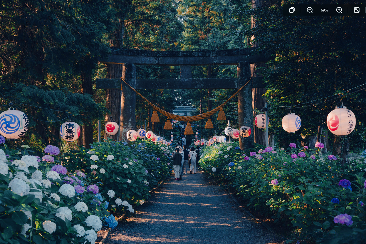Enchanted Evenings in Japan: Isoyama Shrine’s Hydrangea Sando