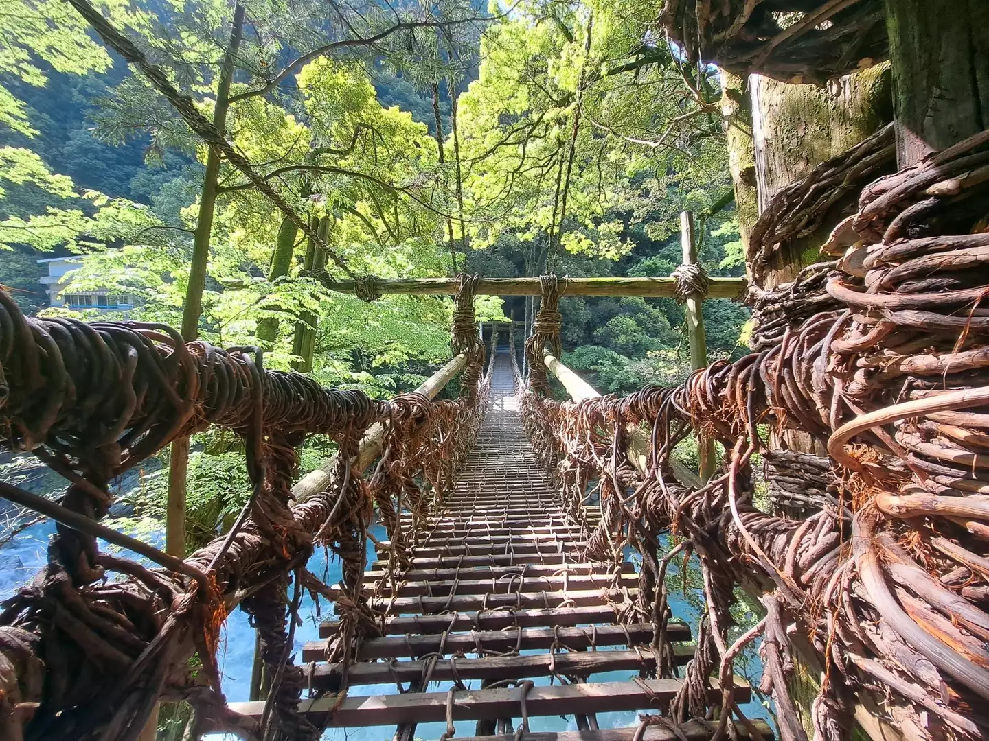 Thrill-Seekers’ Guide to Iya Kazurabashi: Tokushima’s Vine Bridge Adventure