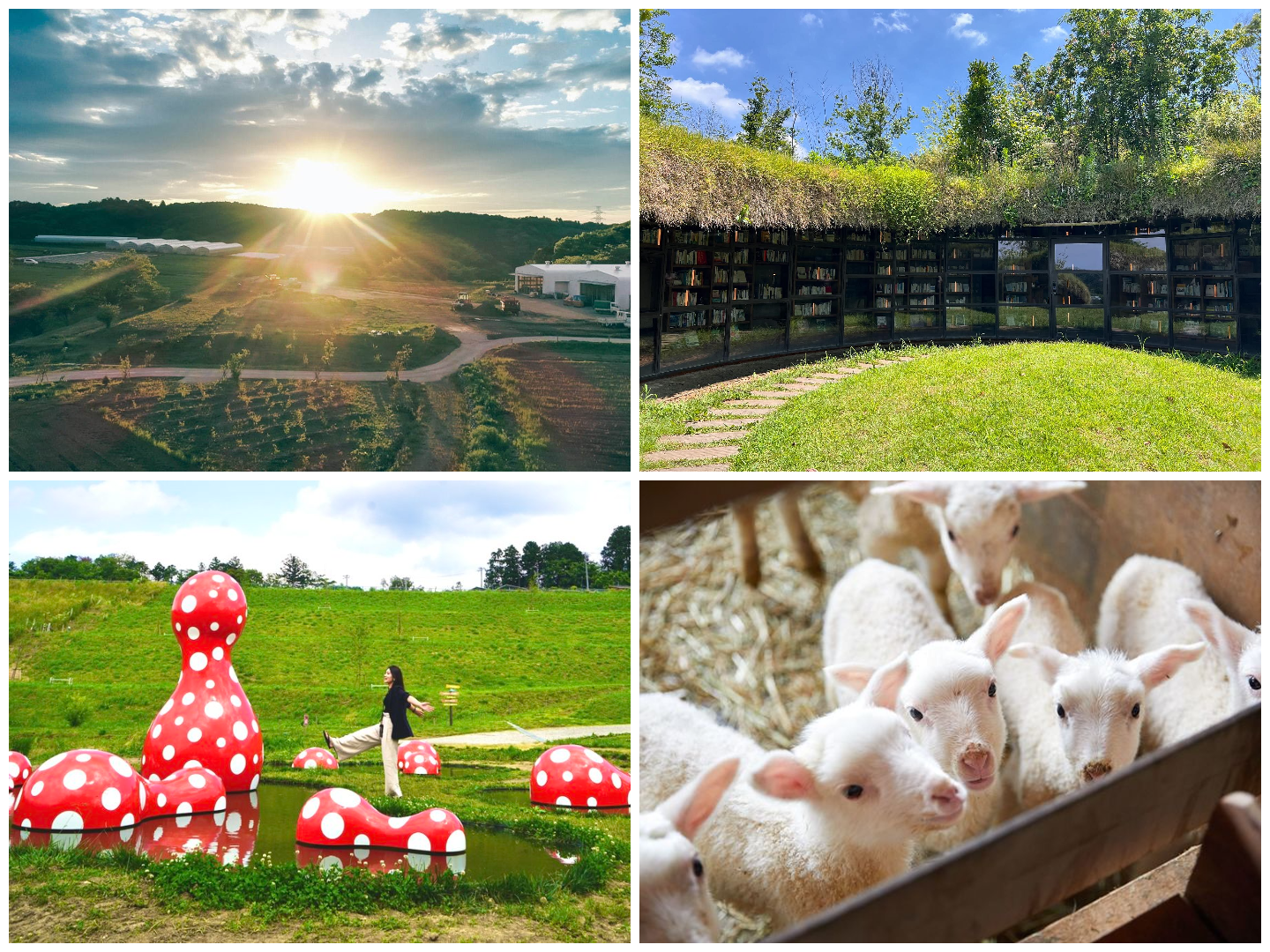 KURKKU FIELDS: Art, Nature, and Family Fun in Chiba