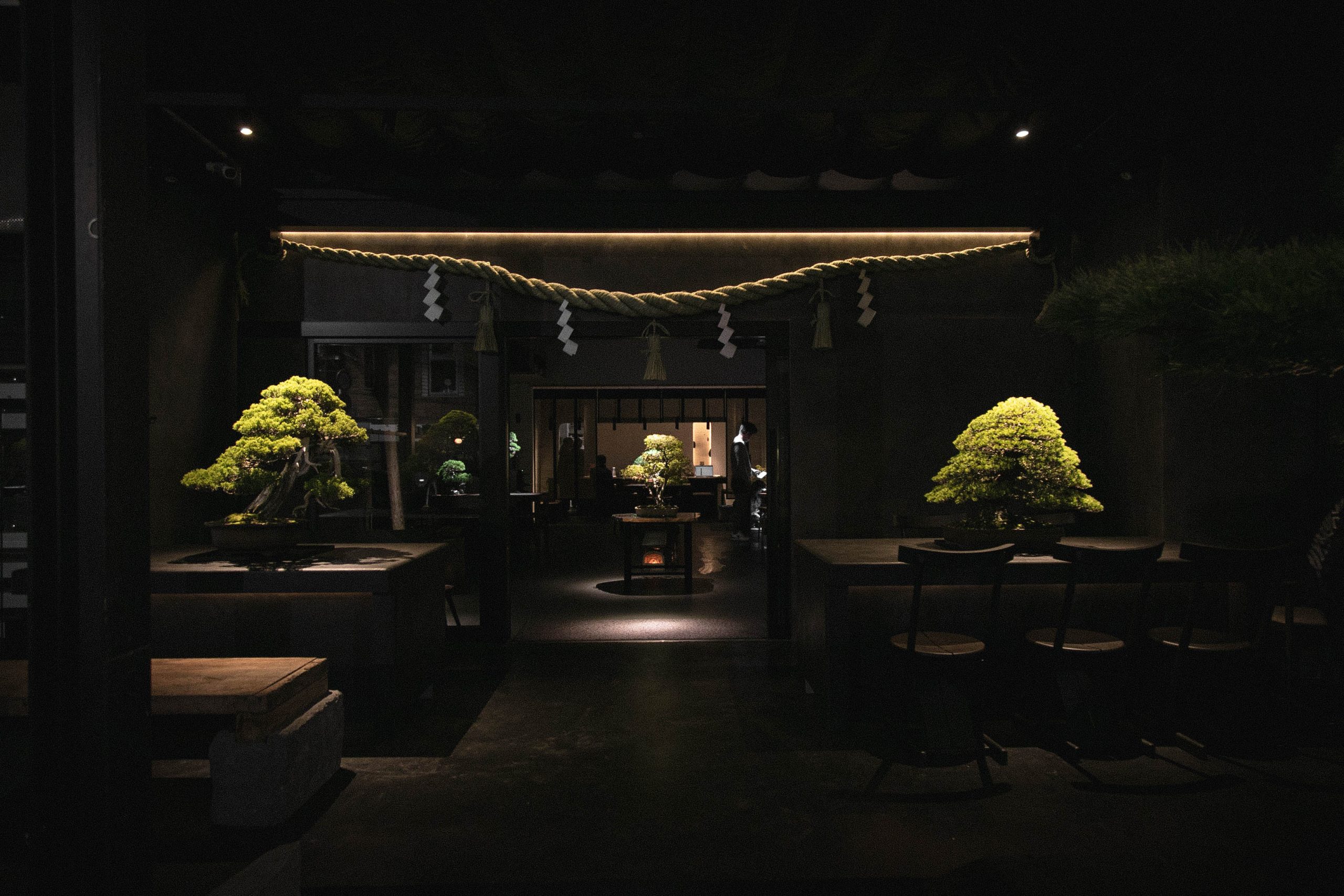 Matsubaya Saryo: A Tranquil Bonsai Tea House in Tokyo