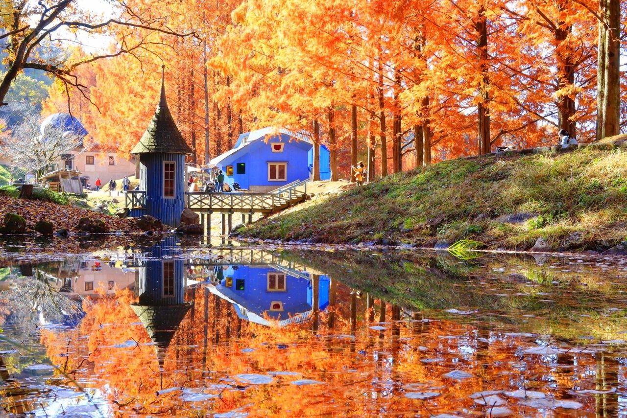 A Fairytale Escape: Autumn at Tove Jansson Akebono Children’s Forest Park