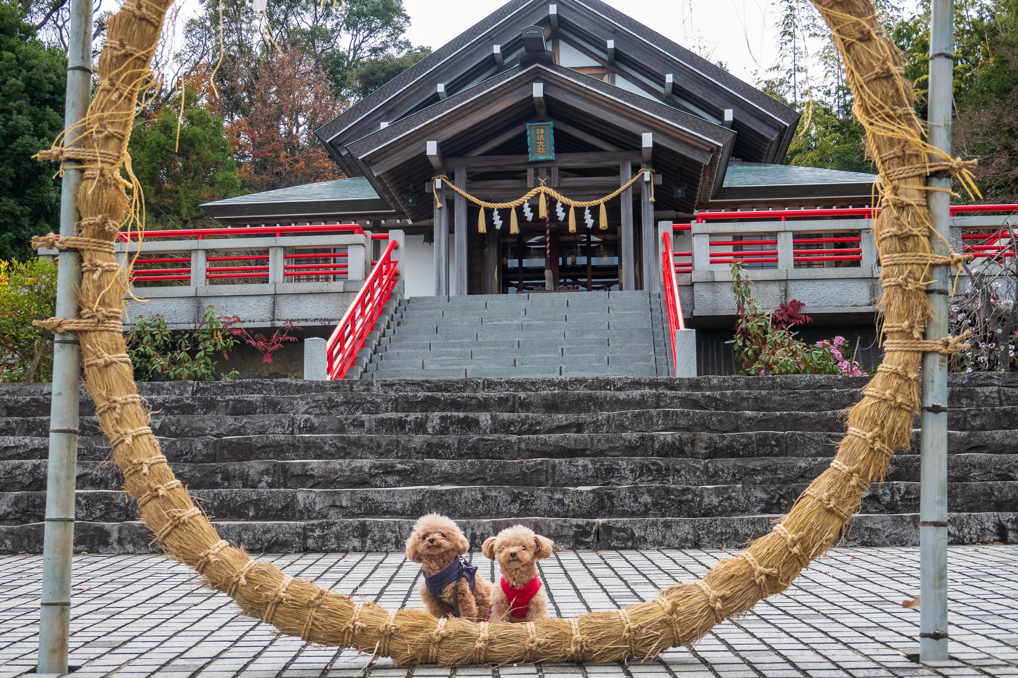 The Shrine for Pets: Tokyo’s Ichigaya Kamegaoka Hachimangu for Pet Wellness
