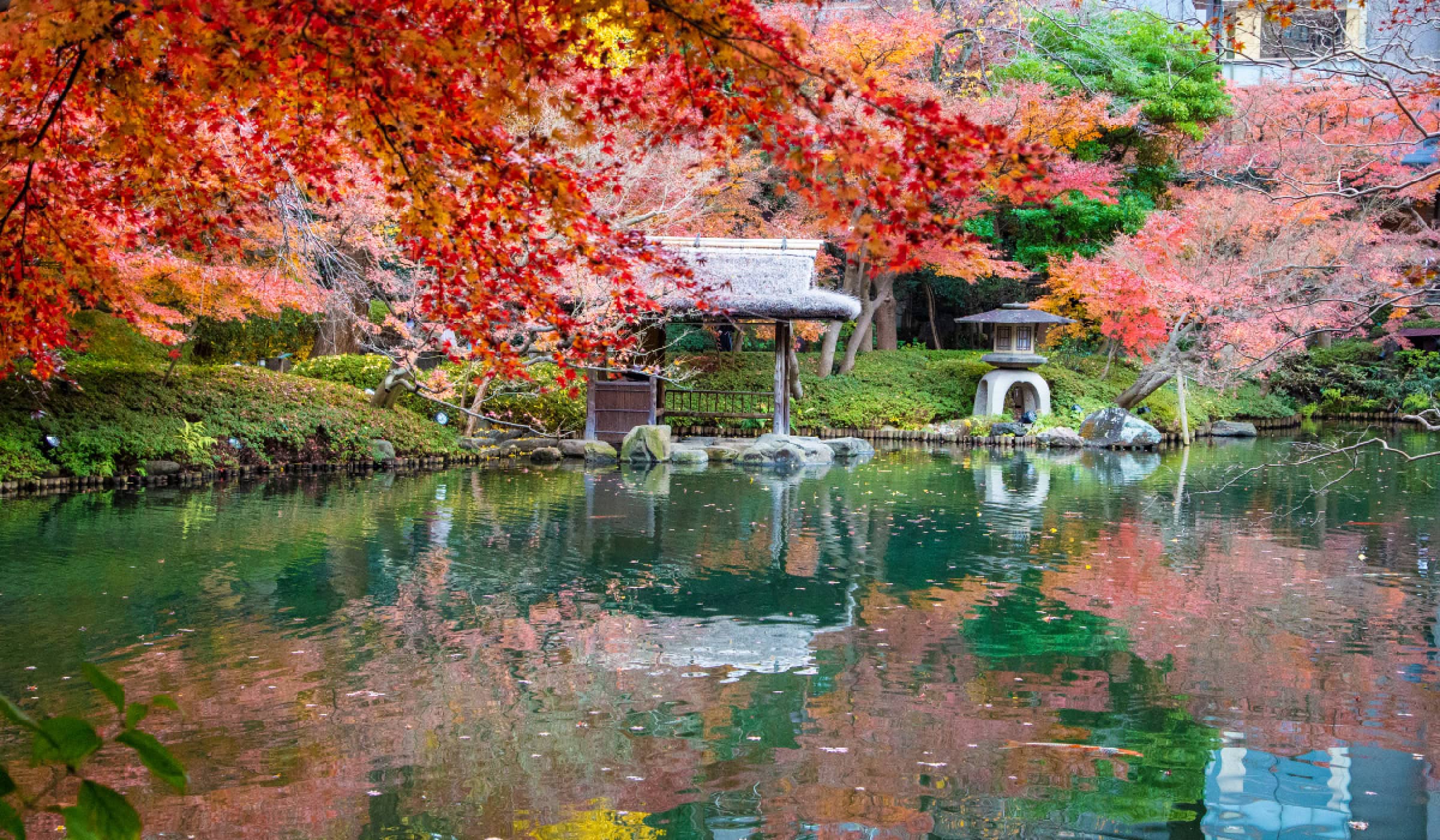 Hidden Gem in Tokyo: Happo-en Garden, 400 Years of Tranquility