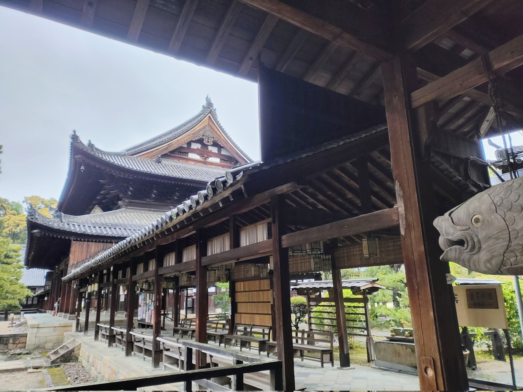 Explore Japan’s New National Treasure: Obakusan Manpukuji in Uji, Kyoto