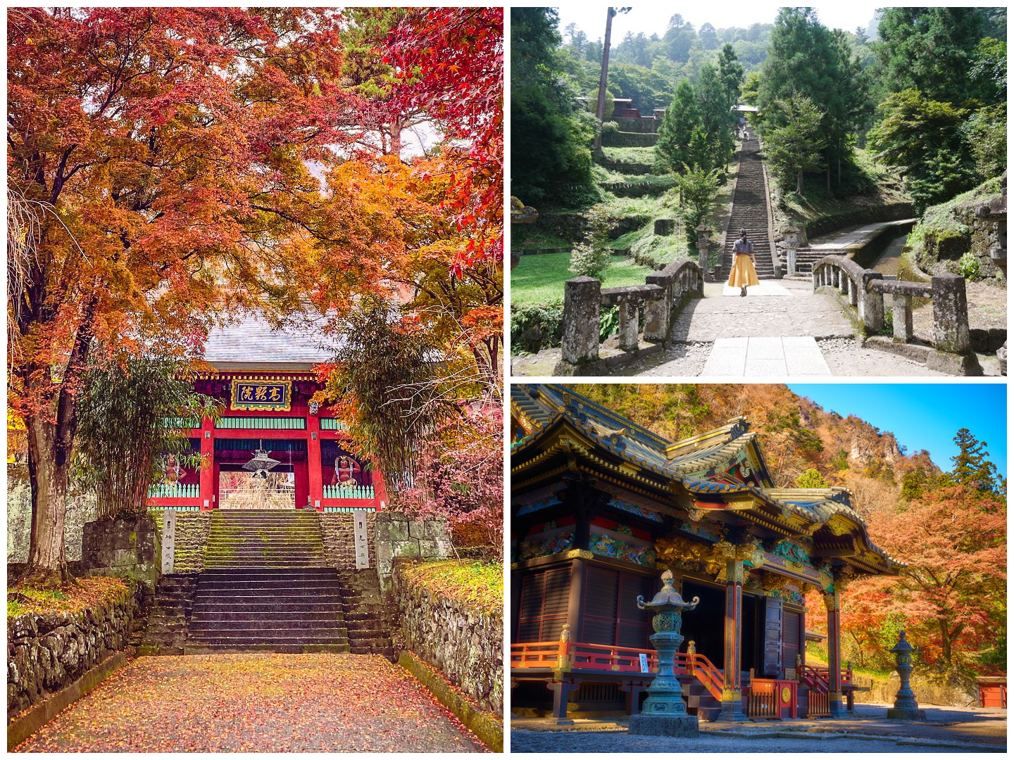 Discover the Enigmatic Beauty of Myogi Shrine’s Rustic Stairs
